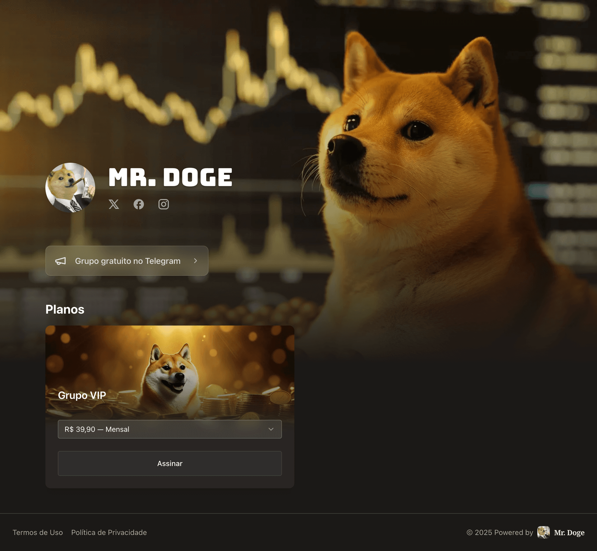 Set up your Store